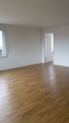 Rexmax - attrayant à tous points de vue - Photo 1