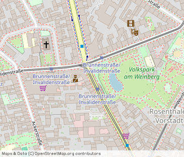 Bright and comfy at Weinbergspark in Mitte - Foto 1