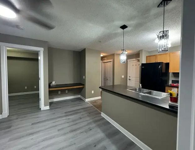 Brand new Luxury Vinyl Plank Flooring. New lighting. | 204 - 3719 Whitelaw Ln NW, Edmonton - Photo 1