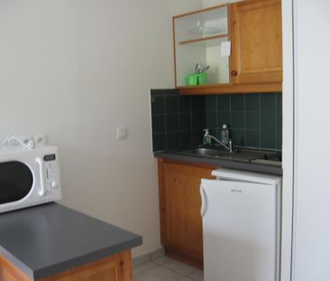 Location Appartement 1 pièce Meublé 23m² LE BOURGET DU LAC 73370 - Photo 2