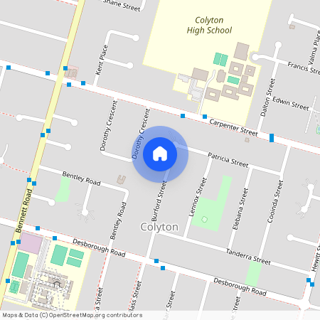 29 Burford Street, Colyton, NSW 2760