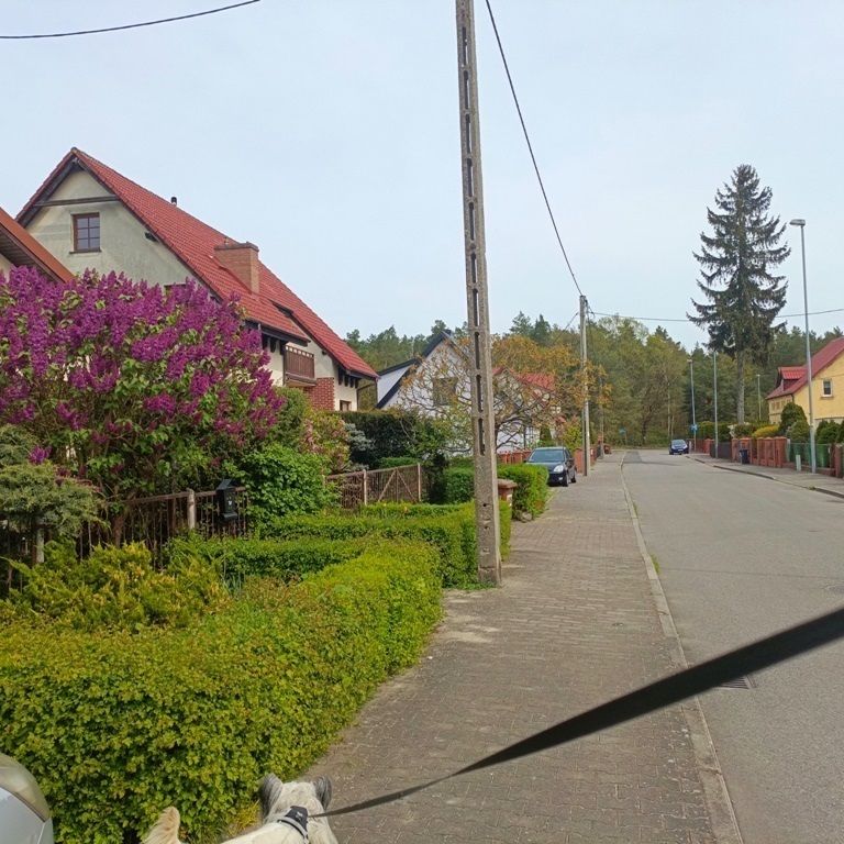 mieszkanie na wynajem - Szczecin, Kijewo - Photo 1