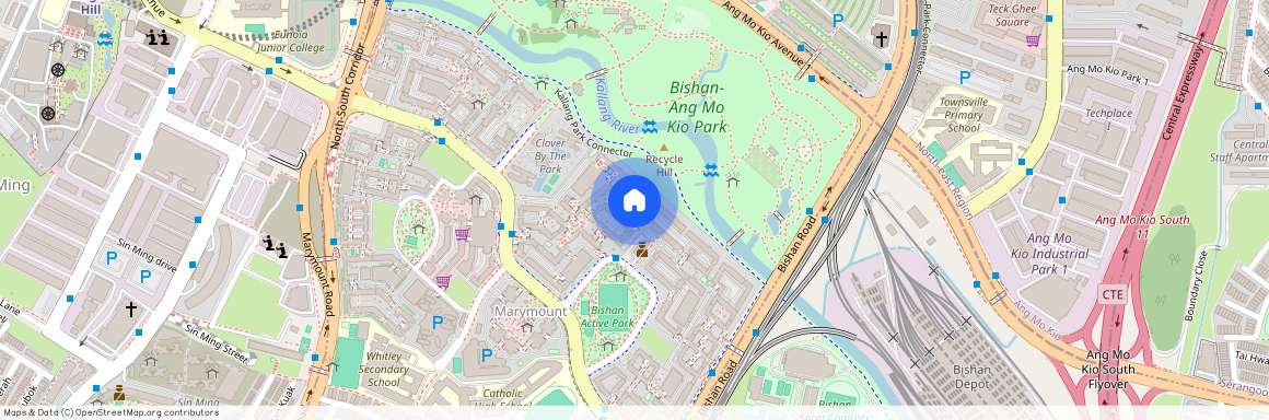225 Bishan Street 23 (570225), Singapore