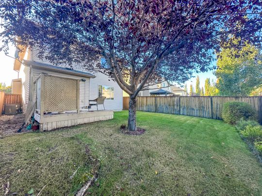 Spacious Home With Finished Basement And Backyard – Quiet Street In New Brighton - Photo 1