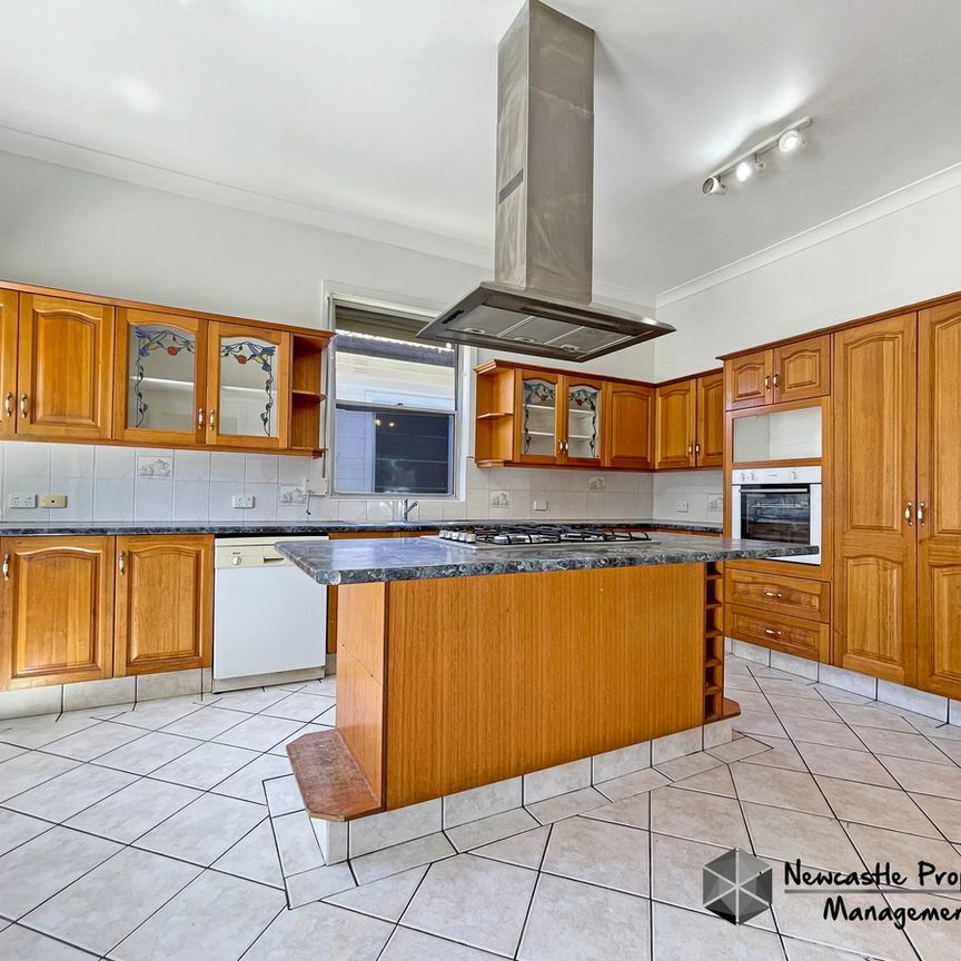 339 Maitland Road, Mayfield West - Photo 1