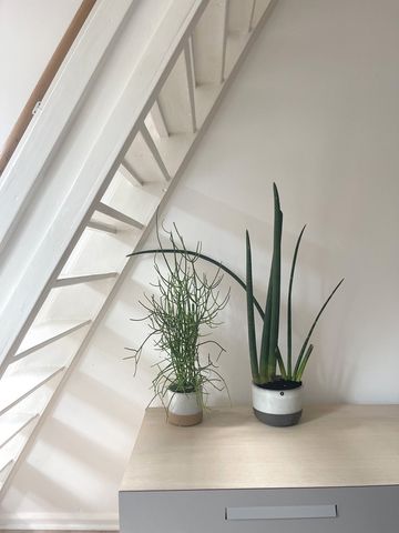 Houthaak 28 - Photo 3