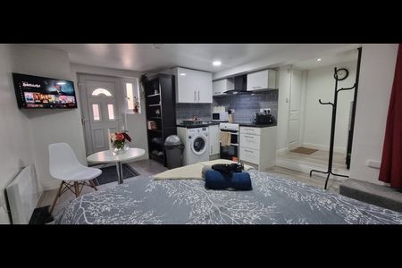 Studio Flat, Leeds, LS8 - Photo 4