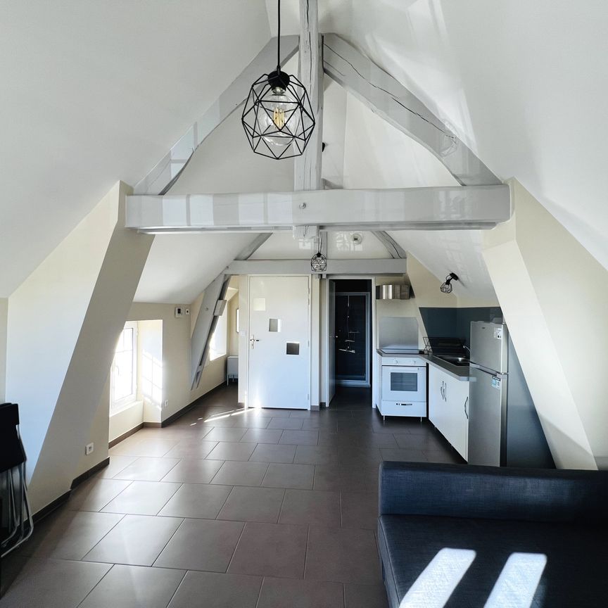 Location Appartement 1 pièce 23m² MENNECY 91540 - Photo 1