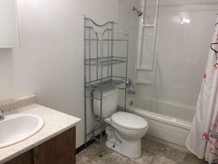 Totem II Apartments – 2 Bedroom - Photo 3