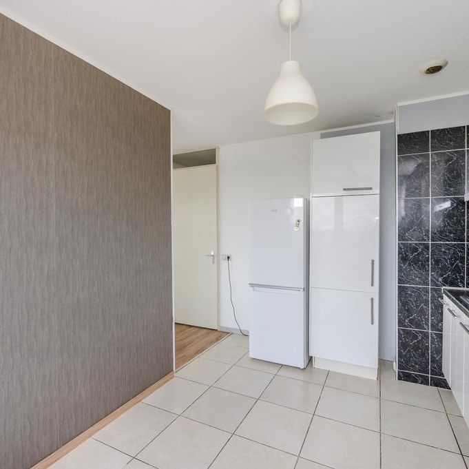 Osdorper ban 736 | Amsterdam - Foto 1