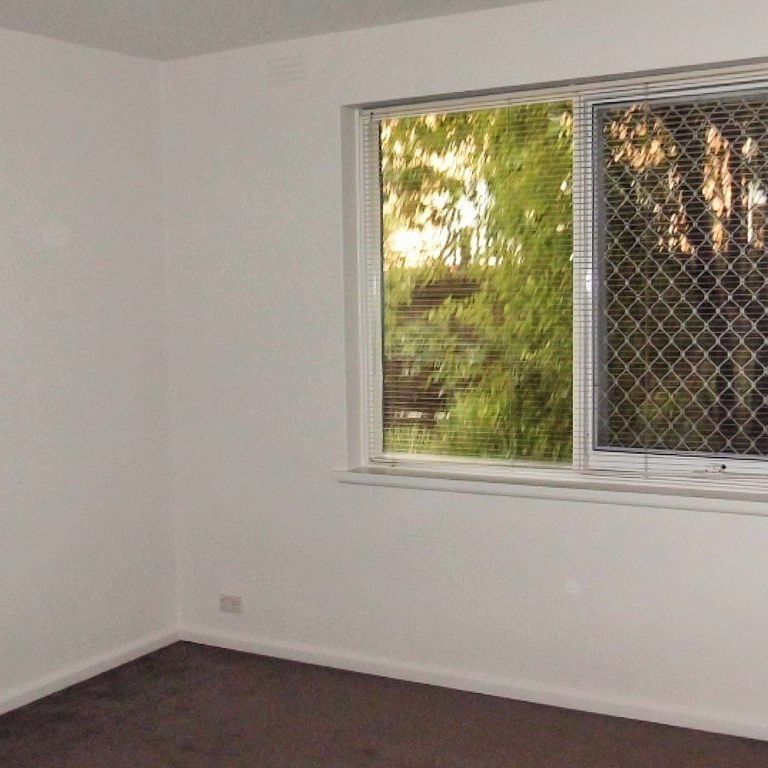Spacious private courtyard awaits - Photo 1