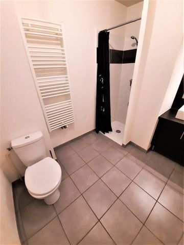 Location Appartement 1 pièce 26m² LAUNAGUET 31140 - Photo 4