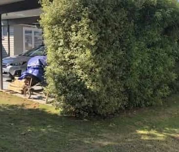 Great Location - Recently Renovated - Photo 4