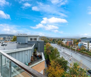 Wyckham Place, Wyckham Way, Dundrum, Dublin 16, D16 RK85 - Photo 2