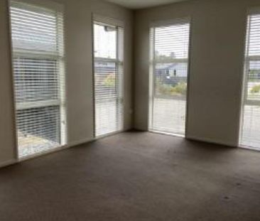 86 Hoffman Court, Waikiwi - Photo 3