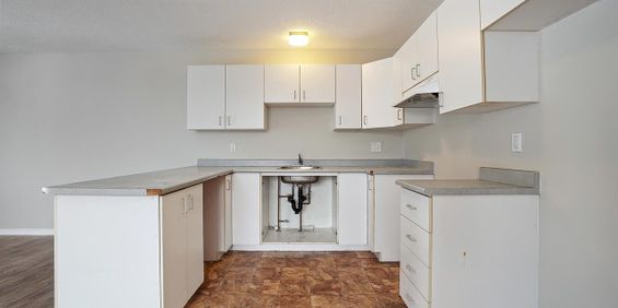 821 Rue Larouche (Gatineau) Magnifique Appartment - Photo 3