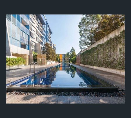 5103/8 Alexandra Drive, Camperdown, NSW 2050 - Photo 3