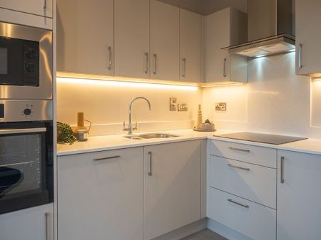 Scholarstown Wood - Photo 3