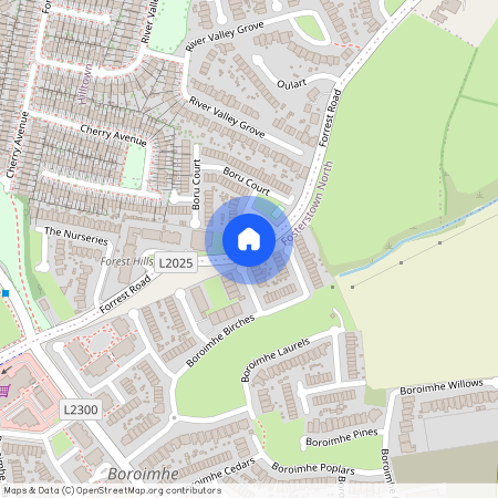 Boroimhe Birches, Swords, County Dublin, Dublin County