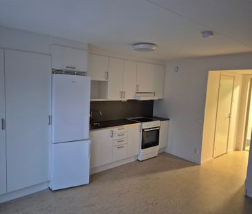 Taggsvampsvägen, Nykvarn - Foto 4