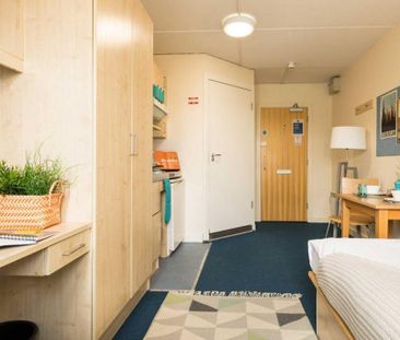 Studio to rent - Photo 6