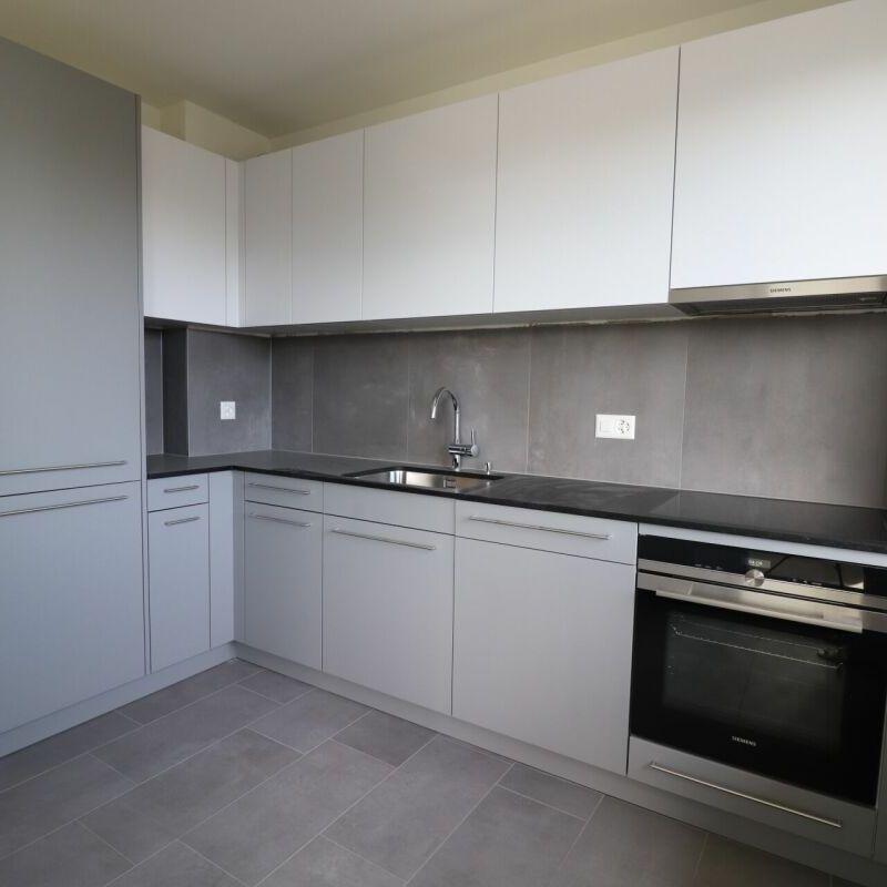 Reinach, Nähe Dorfzentrum - moderne 3-Zimmerwohnung an der Alemannenstrasse - Foto 1