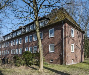 3-Zimmer-Wohnung in Wilhelmshaven zu vermieten! - Foto 4