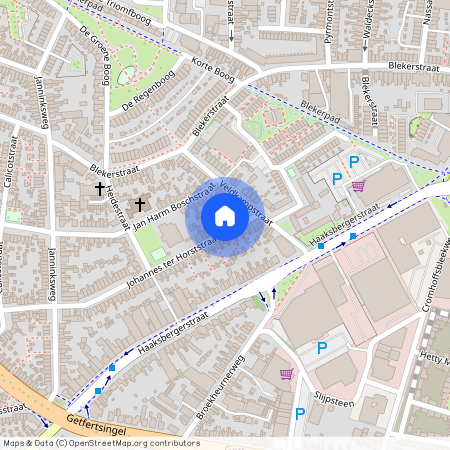 12, Johannes ter Horststraat, 7513ZH, Enschede