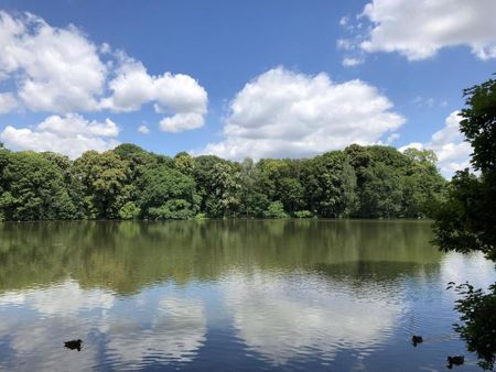 Singlewohnung in attraktiver Wohnlage - Photo 3