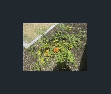 79 Pierro Pl, Logan Reserve, Qld 4133 - Photo 1