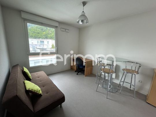 Location Appartement 1 pièce Meublé 18m² ST MARTIN LE VINOUX 38950 - Photo 1