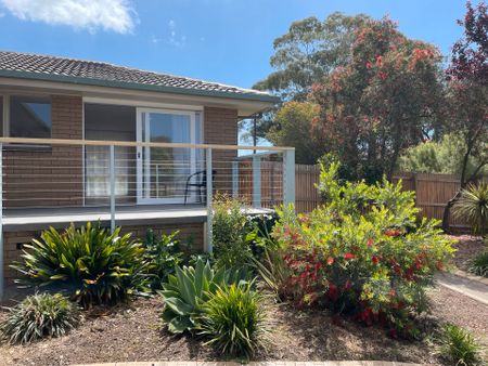 1 Corriedale Court, Belmont - Photo 5