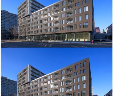3 1/2 Grande Allée - Immeuble de prestige neuf - libre - Photo 2