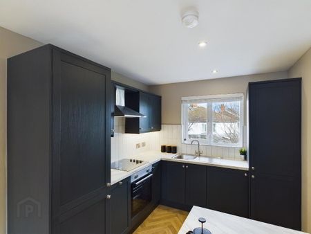 12 Park Place, Ravenhill Road, Belfast, BT6 8FR - Photo 3