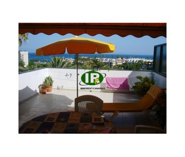 Beautiful bungalow with 1 bedroom, sea view and a very large terrace - Photo 4