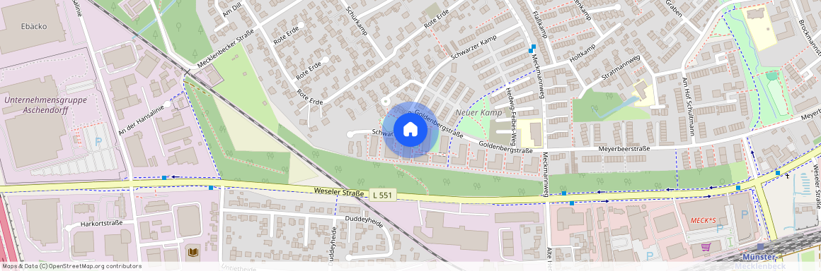 Goldenbergstraße 37, 48163 Münster