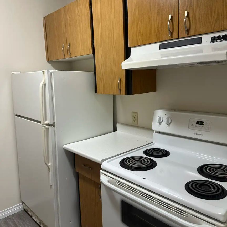 Capital Place - 4505 137 Avenue NorthWest — 1 Bedroom - Photo 1