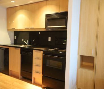 For Lease - 19 Avondale Avenue Unit# LPH14, Toronto, Ontario - Photo 6