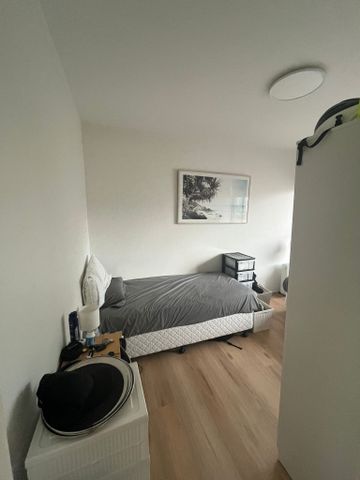 Bondi - Photo 3