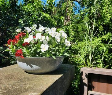 Mitbewohner, in für Minus 55 Plus WG gesucht. - Photo 1