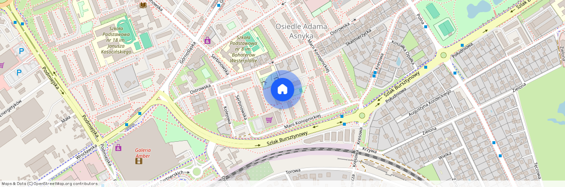 Marii Konopnickiej 29, Kalisz, Asnyka