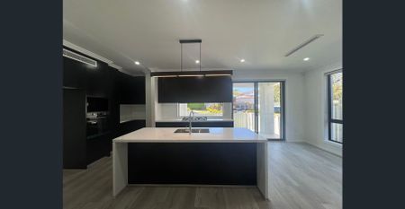 Brand New Luxury Home with Master Bedroom Downstairs - Photo 5