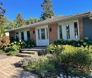 For Lease - 229 Church Street, Markham, Ontario - Photo 3