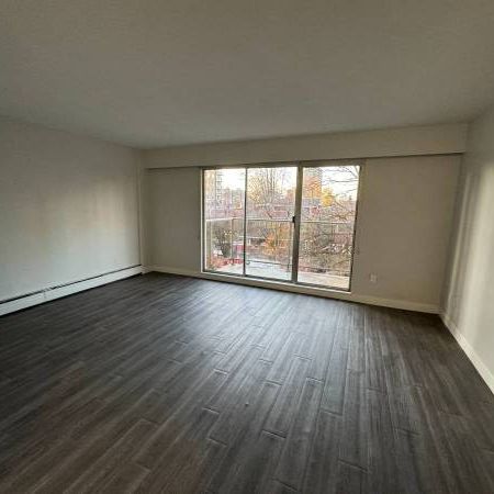 PET FRIENDLY Bachelor With Private Balcony in Downtown Vancouver - Photo 1