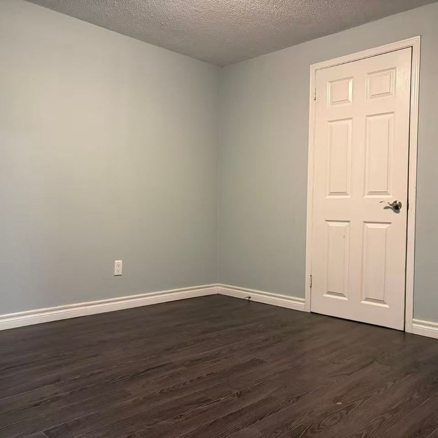 For Lease - 49 Viamede Crescent Unit# Lower, Toronto, Ontario - Photo 1