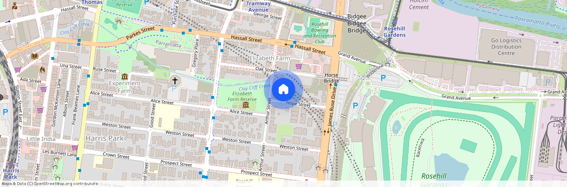 29 Hope Street, NSW 2142, Rosehill