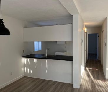 Grand 4 1/2 moderne - Photo 2