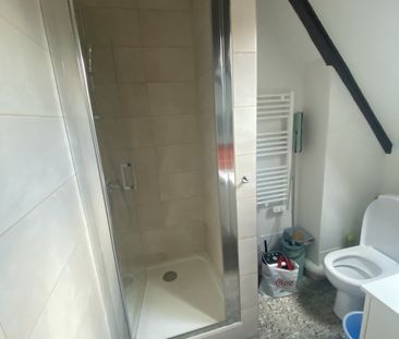 Location Appartement 3 pièces 53m² SCHILTIGHEIM 67300 - Photo 4