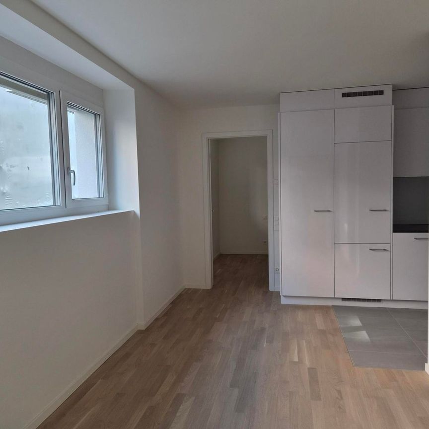 2.5 Zimmer, 36 m², EG - Foto 1