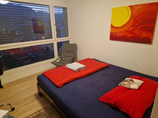 3-ROOM APARTMENT IN LOCARNO (TI), FURNISHED, TEMPORARY - Photo 1